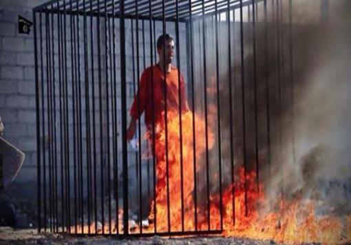 داعش تعدم الكساسبة حرقاً