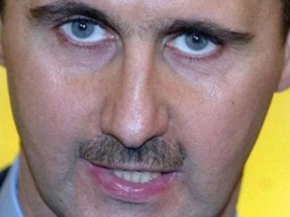 الأسد يبدو كالمعتوه