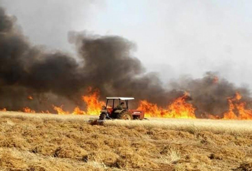 جيش الأسد يحرق محاصيل درعا