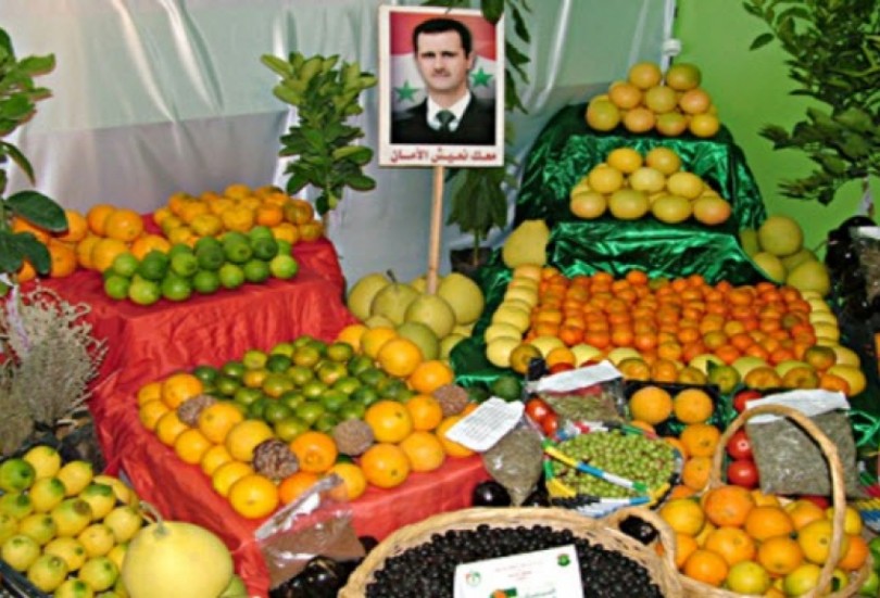 نظام الأسد يوقع اتفاقيات لتصدير الخضار والفواكه إلى روسيا