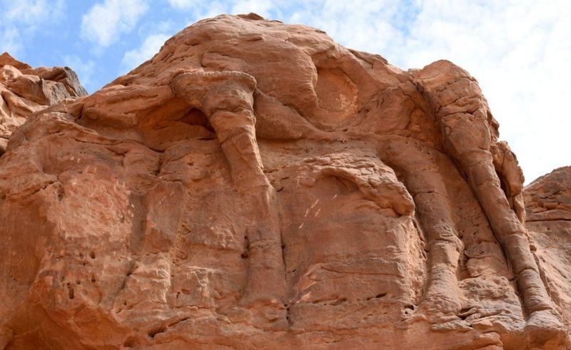 دراسة: منحوتات جِمال صخرية في السعودية قد تكون “أقدم” من أهرامات الجيزة