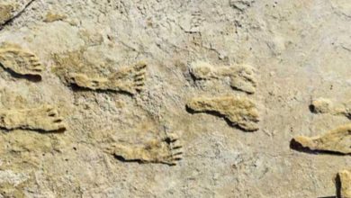 صورة آثار أقدام عمرها 23 ألف سنة تعيد كتابة تاريخ البشر في أمريكا