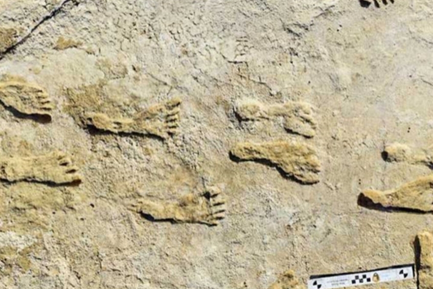 آثار أقدام عمرها 23 ألف سنة تعيد كتابة تاريخ البشر في أمريكا