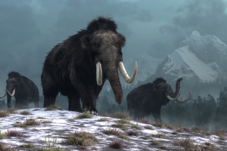 عمرها 200 ألف عام.. اكتشاف بقايا 5 حيوانات ماموث في إنجلترا Shutterstock_1129062788-1