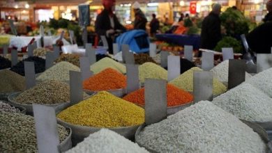 صورة صادرات تركيا من الحبوب تتجاوز 6.4 مليارات دولار