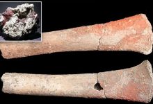 صورة علماء يكتشفون أول دليل على التسمم بالزئبق في عظام بشرية عمرها 5000 عام