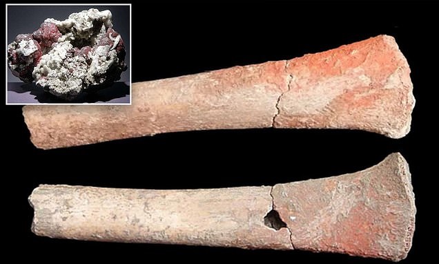 علماء يكتشفون أول دليل على التسمم بالزئبق في عظام بشرية عمرها 5000 عام