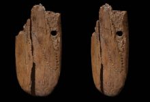 صورة عمرها 41 ألف عام.. باحثون يكتشفوف أقدم قلادة عاجية في التاريخ