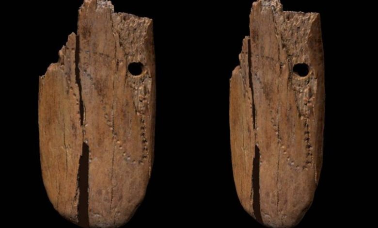 عمرها 41 ألف عام.. باحثون يكتشفوف أقدم قلادة عاجية في التاريخ 1426056-780x470