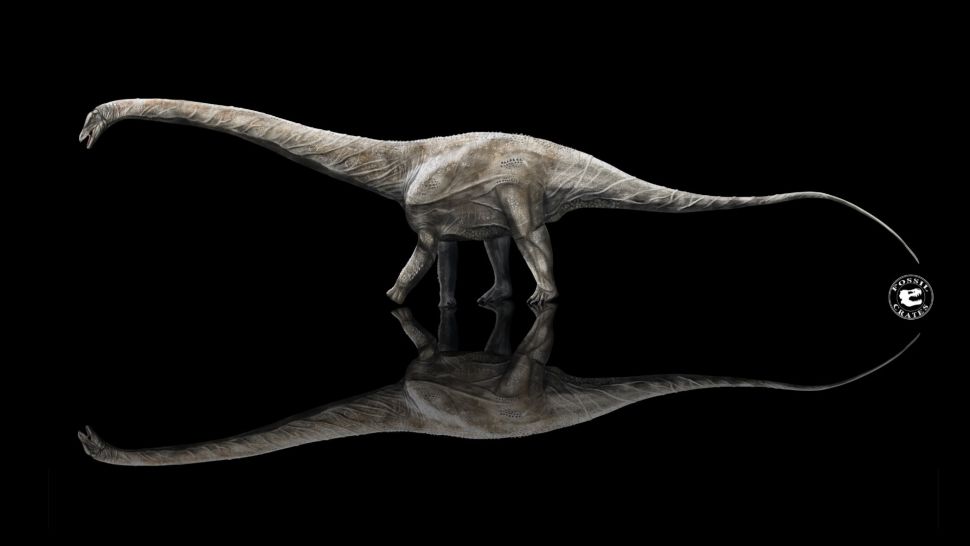 طوله 39 متر.. اكتشاف أحفوري لأطول ديناصور عاش على الإطلاق