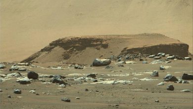 صورة مركبة “بيرسيفيرانس” التابعة لـ “ناسا” تجد آثار فيضانات قديمة “هائلة” على المريخ