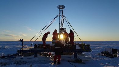 صورة اكتشاف “واحة حياة” مفاجئة تحت جرف جليدي في القارة القطبية الجنوبية