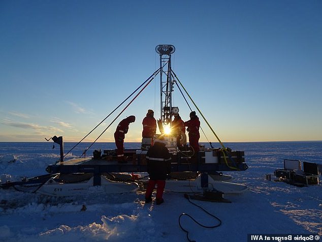 اكتشاف “واحة حياة” مفاجئة تحت جرف جليدي في القارة القطبية الجنوبية