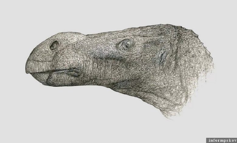 بريطانيا.. اكتشاف بقايا ديناصور له أنف نادر 618e12814c59b75d28711c96-780x470