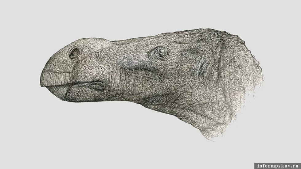 بريطانيا.. اكتشاف بقايا ديناصور له أنف نادر