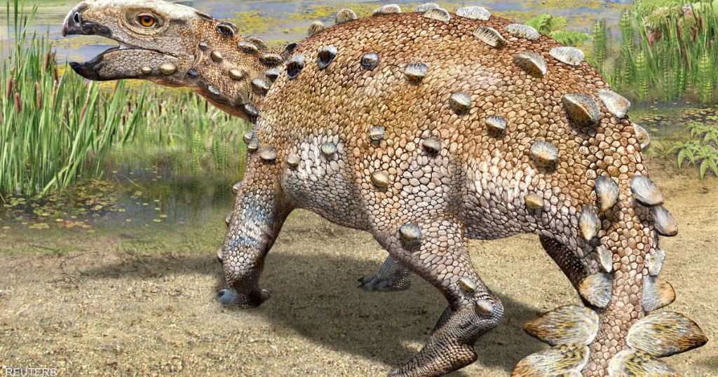 اكتشاف ديناصور مدرع كان يرهب خصومه بذيل مدبب قبل 74 مليون سنة