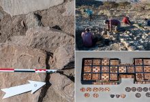 صورة عمرها 4000 عام.. علماء آثار يكتشفون لعبة ألواح حجرية قديمة في عُمان