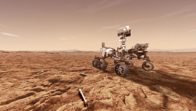 صورة المركبة “بيرسيفيرانس” تصطدم بعقبة تعيق جزءا من مهمتها على المريخ