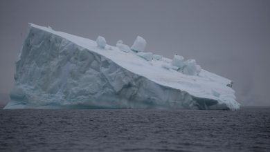 صورة علماء يحذورن من خطر نهر جليدي يهدد العالم
