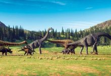 صورة عهد الديناصورات على الأرض انتهى خلال الربيع