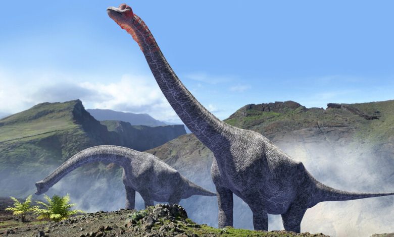 علماء يثبتون إصابة ديناصور بعدوى تشبه “الإنفلونزا” قبل 150 مليون عام 620620954236044ad0798ffe-780x470