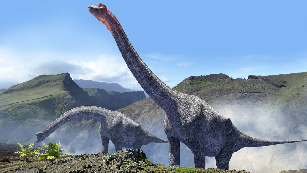 علماء يثبتون إصابة ديناصور بعدوى تشبه “الإنفلونزا” قبل 150 مليون عام