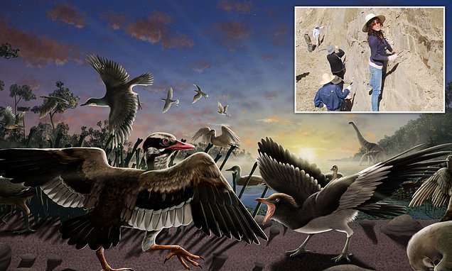 اكتشاف طائر بـ”ذقن متحرك” جاب الصين منذ 120 مليون سنة