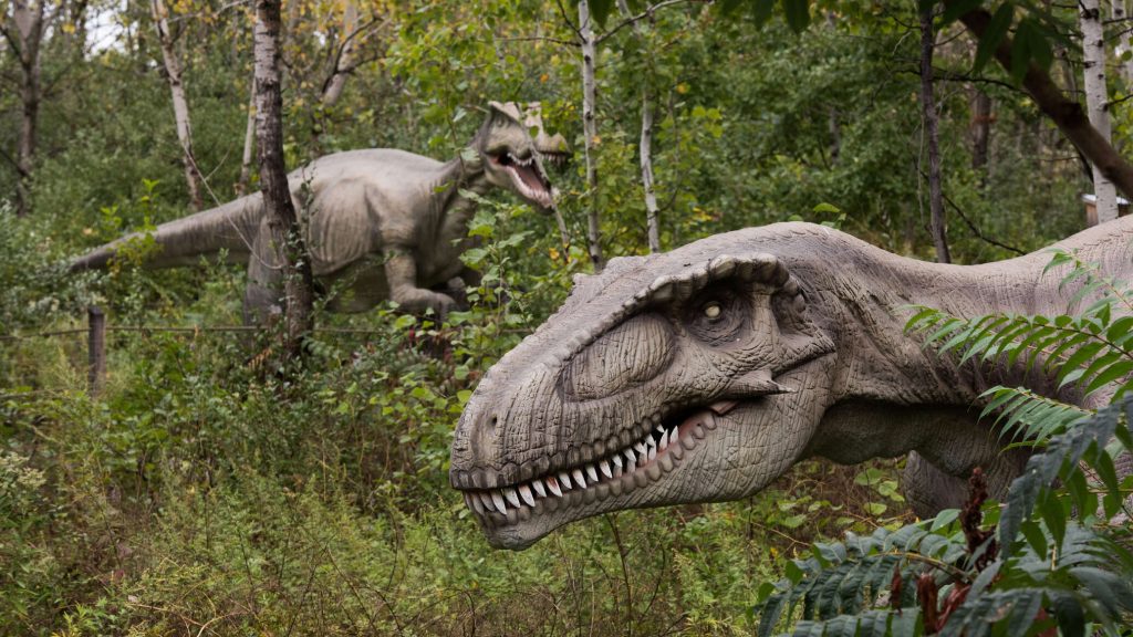 عاش قبل أكثر من 125 مليون سنة.. العثور على نوع جديد من الديناصورات آكلة اللحوم