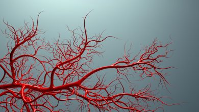 صورة تقنية تصوير جديدة تظهر الأوعية الدموية بشكل غير مسبوق