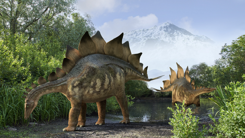 الكشف عن نوع جديد من “ستيغوصور” عاش على الأرض منذ حوالي 168 مليون سنة
