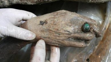 صورة الصين.. اكتشاف مومياء عمرها 700 عام بجلد ناضج وخاتم سليم