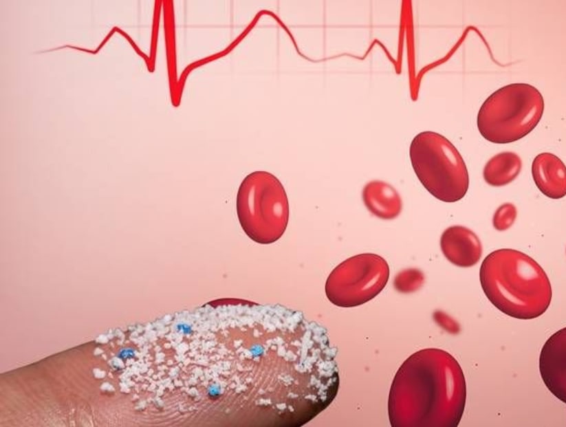 العثور على جزيئات بلاستيكية في دم الإنسان لأول مرة