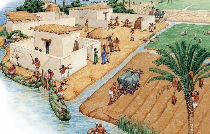 علماء تاريخ: الزراعة ظهرت في الشرق الأوسط والهند منذ حوالي 12 ألف عام