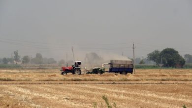 صورة الهند تدرس تقييد تصدير القمح في أحدث ضغط لإمدادات الغذاء