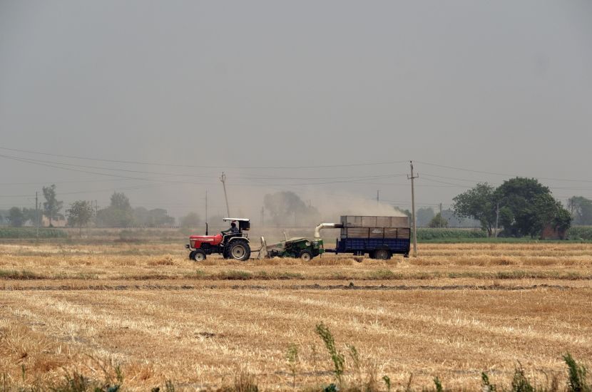 الهند تدرس تقييد تصدير القمح في أحدث ضغط لإمدادات الغذاء