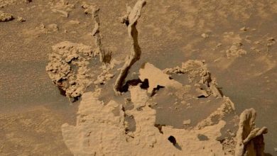 صورة “تشبه عصا الساحر” مسبار ناسا يعثر على هياكل ملتوية على سطح المريخ