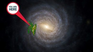 صورة مهمة “غايا” الفضائية تكشف أسراراً مذهلة عن مجرة درب التبانة