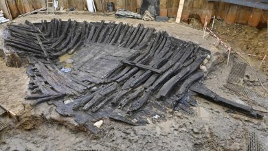 صورة علماء الآثار يسعون لإنقاذ حطام سفينة عمره 1300 عام