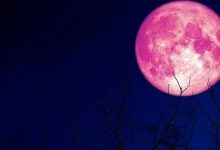 صورة سيكون أكثر إشراقا.. العالم يشهد ظهور “قمر الفراولة” الليلة