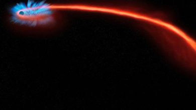 صورة العلماء يرصدون ثقبا أسود يمزق نجما مثل الشمس