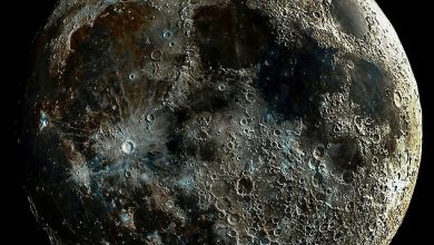 صورة حفر القمر “الغريبة” قد تحتوي على درجات حرارة مناسبة للعيش فيها
