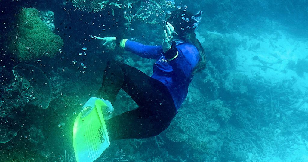 أستراليا.. ظهور أكبر غطاء مرجاني في “الحاجز العظيم” منذ 36 عاماً
