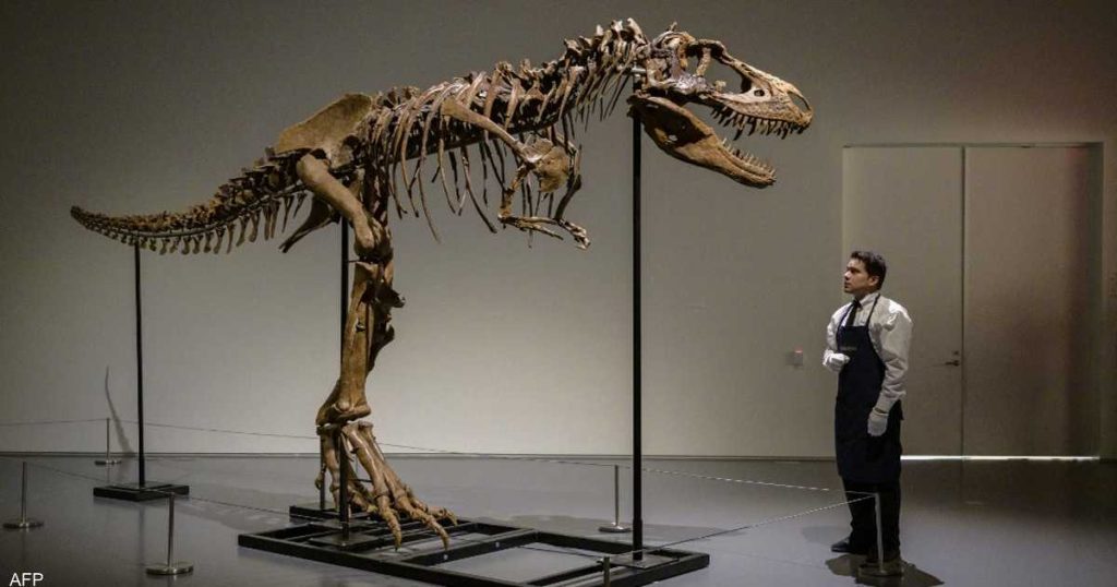 بيع هيكل ديناصور عاش قبل 77 مليون عام برقم خيالي