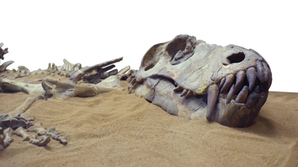 اكتشاف زاحف منقرض عايش الديناصورات قبل 150 مليون سنة