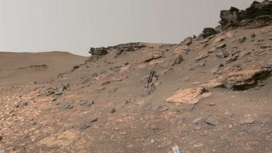 صورة الروبوت “برسيفرنس” يرصد “بصمات حيوية” على المريخ
