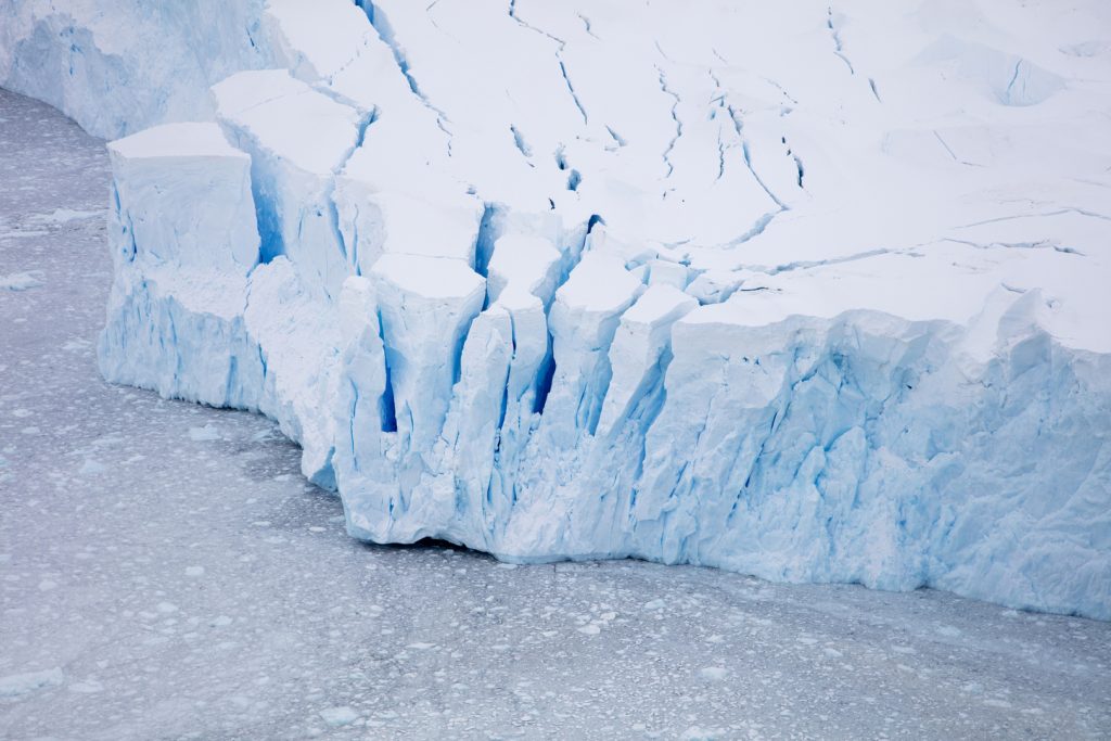 عمره مليون عام.. اكتشاف أقدم حمض نووي بحري في القارة القطبية الجنوبية
