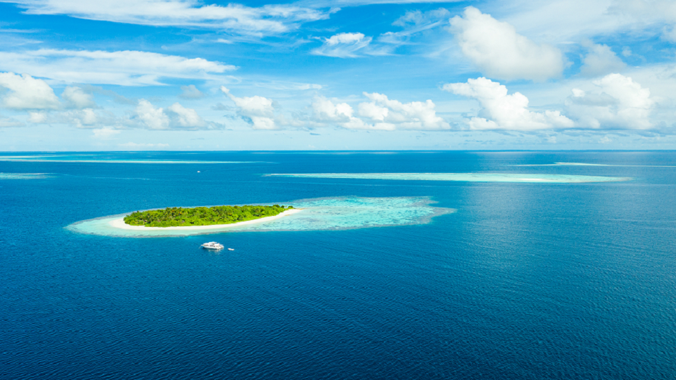 اكتشاف “واحة الحياة” المخفية في أعماق المحيط في جزر المالديف