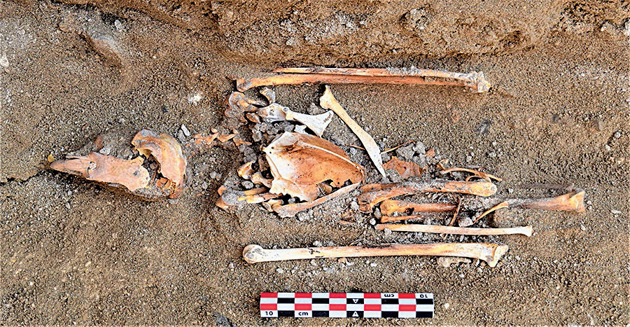 “ضريح الصقر”.. اكتشاف أثري جديد في مصر يثير تساؤلات