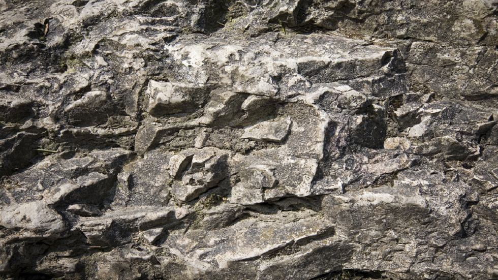كشف النقاب عن صخور غامضة يعتقد أنها أقدم دليل على الحياة على الأرض