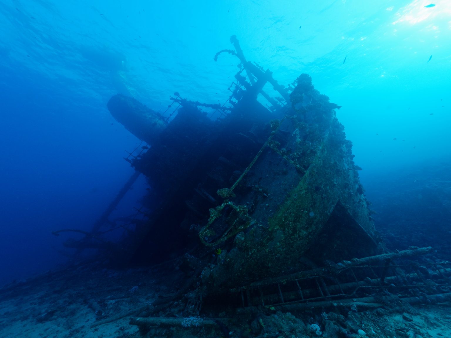 Затопленный корабль. Затонувшее судно. Затонувшие корабли в красном море. Затонувшие корабли которые нашли. Затонувшие корабли.